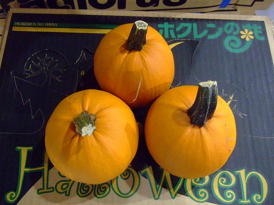 パンプキン おもちゃカボチャ フラワーカタログ フレネットhibiya