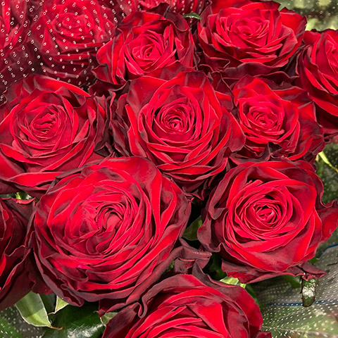 今週の店頭 東京 10 27 Rose Rose Rose 新品種バラ フレネットhibiya