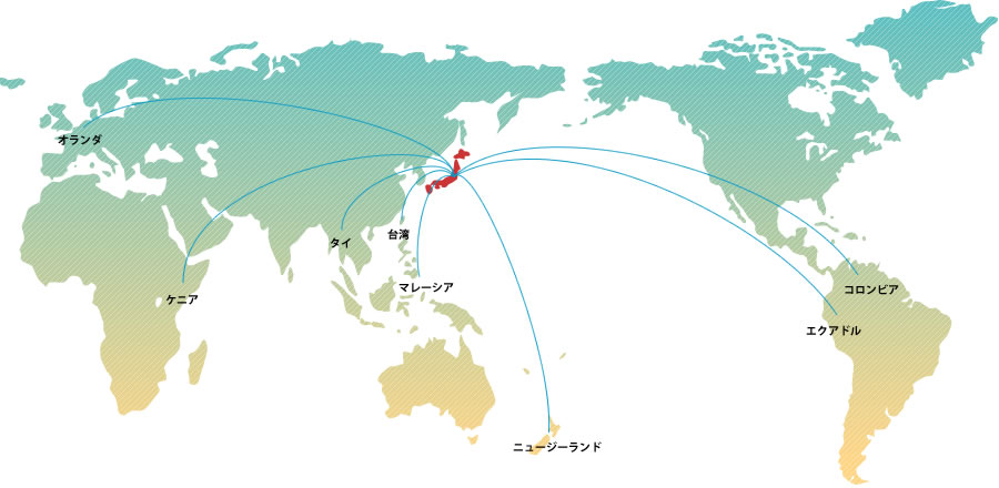 世界8か国のネットワーク